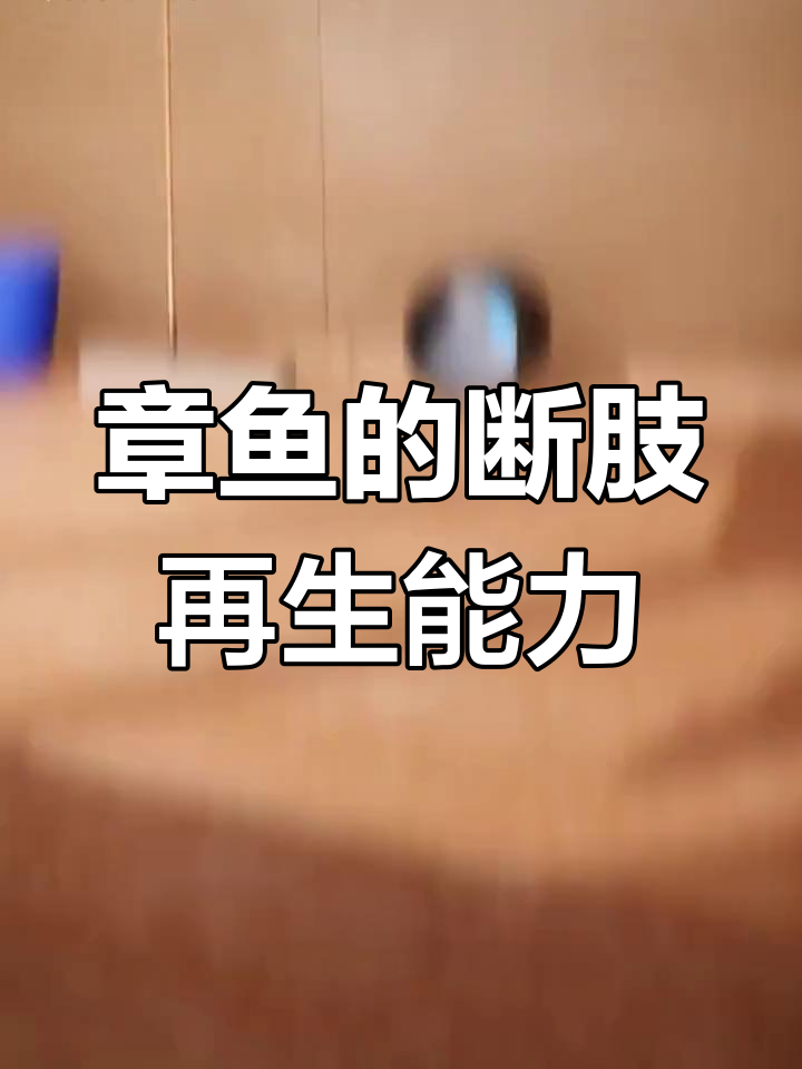 章鱼触手能重生,手指却不行