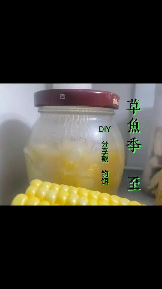 分享一款自制草鱼饵料