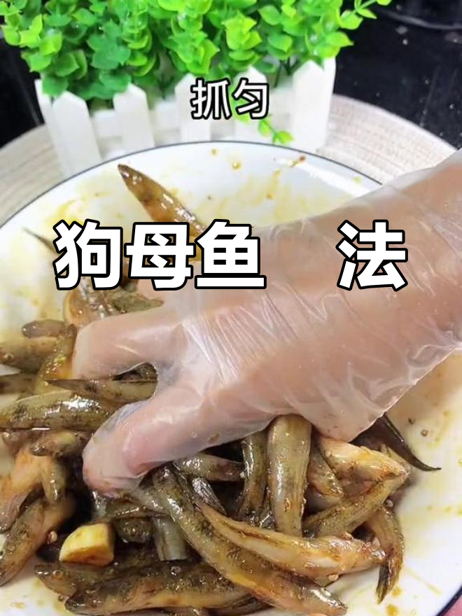 潮汕风味焗狗母鱼,搭配粥更美味