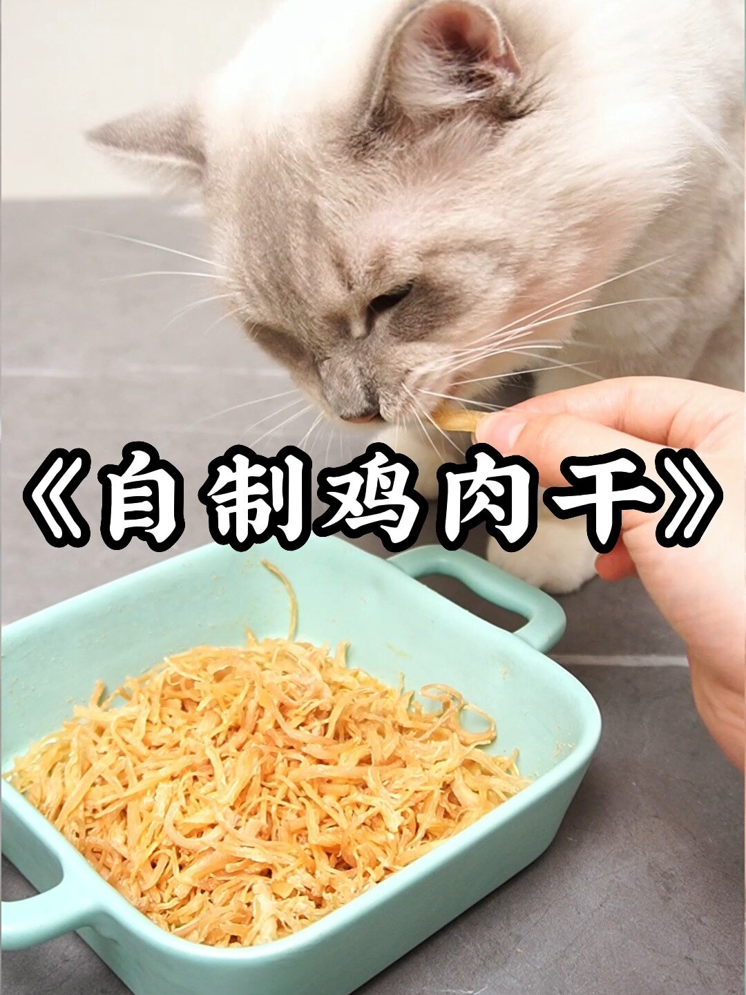超简单鸡胸肉自制猫零食,一只手就能做