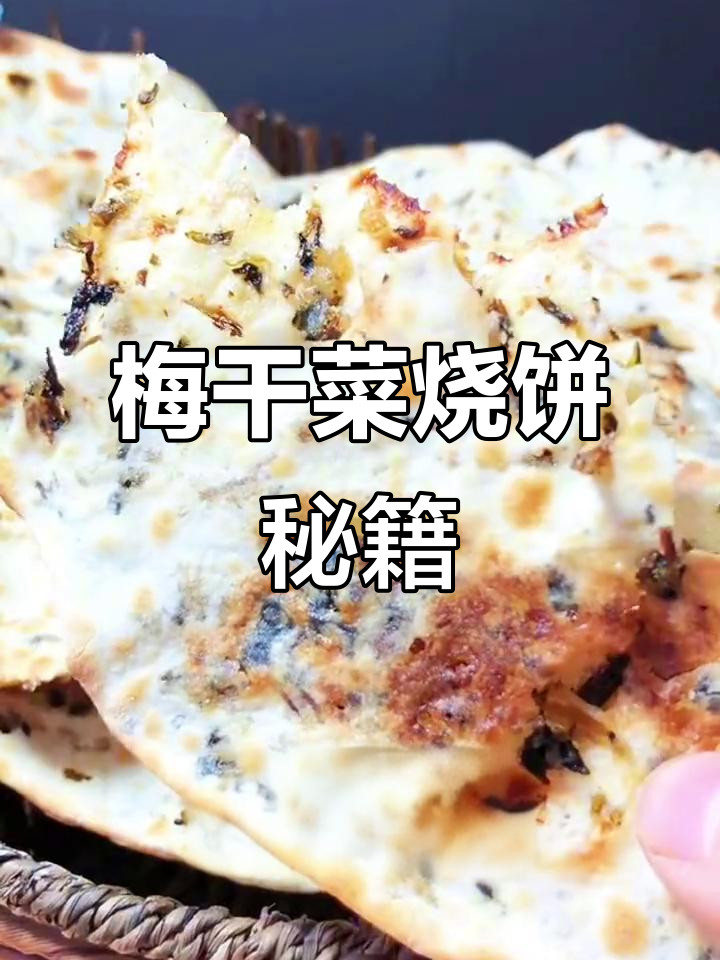 梅菜扣肉饼制作秘诀，湖南风味烧饼培训全解析