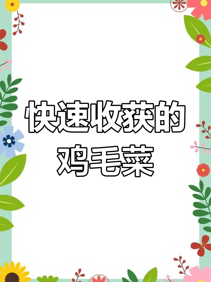 3月种鸡毛菜,三天发芽二十天采收,阳台小院必备