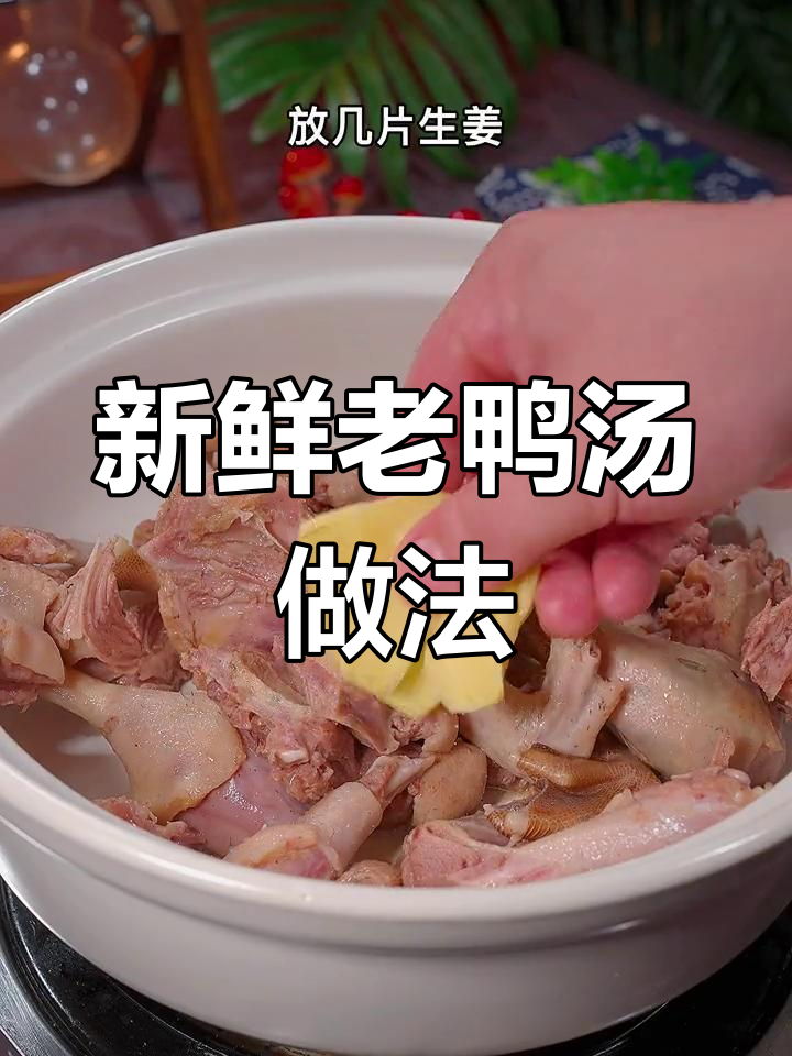 老鸭汤炖法大揭秘,去腥提鲜技巧全攻略