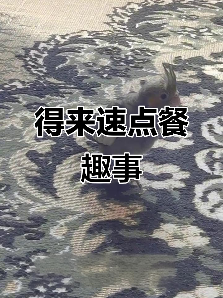 麦当劳得来速:宝宝不吃辣,选汉堡还是薯条?