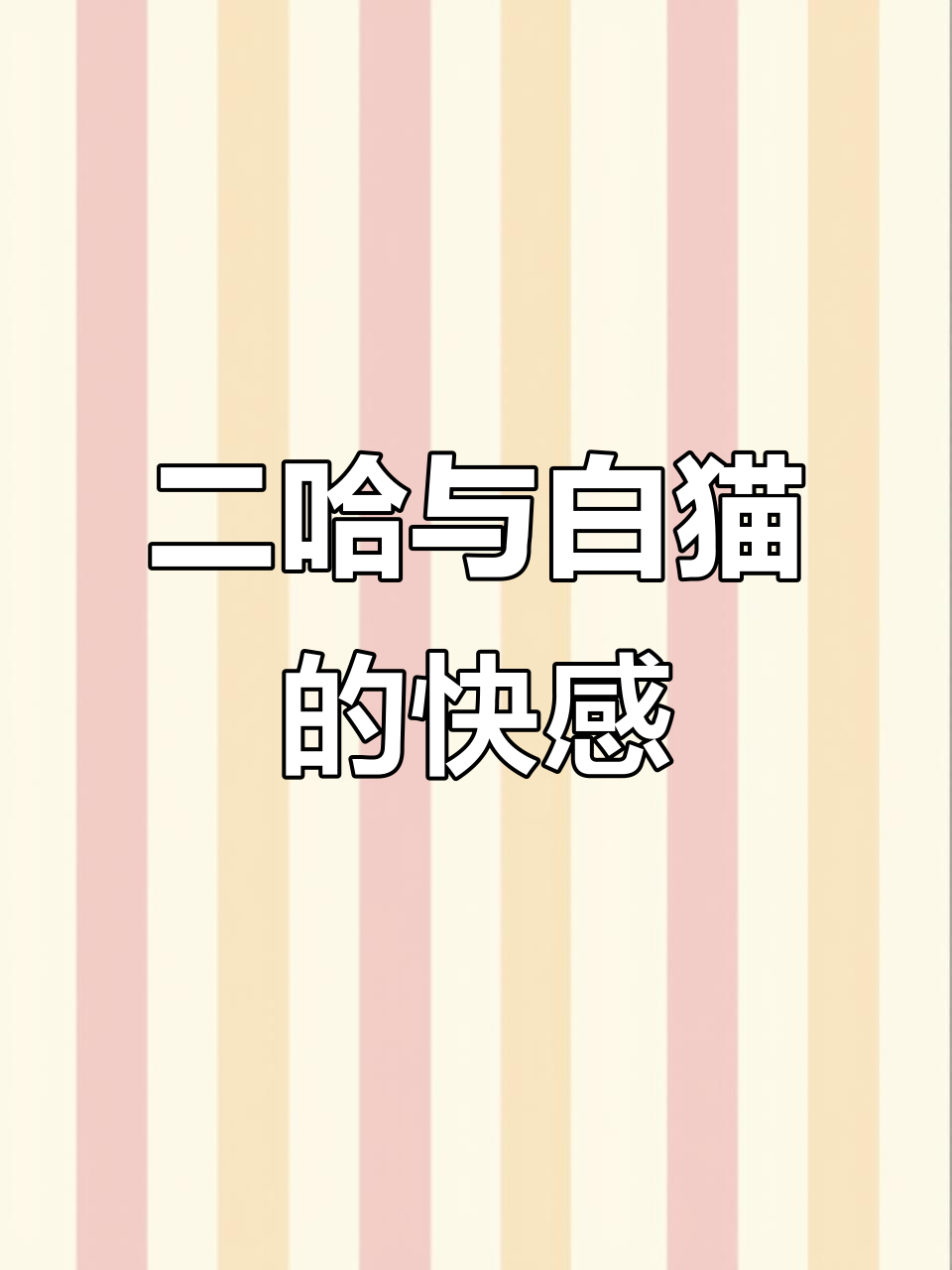 一口气看完《二哈和他的白猫师尊》,墨燃与楚晚宁的快乐之旅