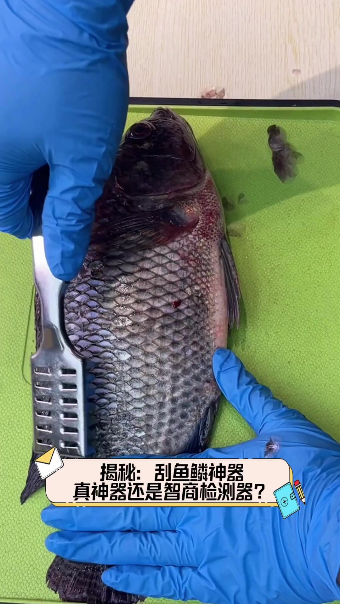 揭秘:刮鱼鳞神器,真神器还是智商检测器?