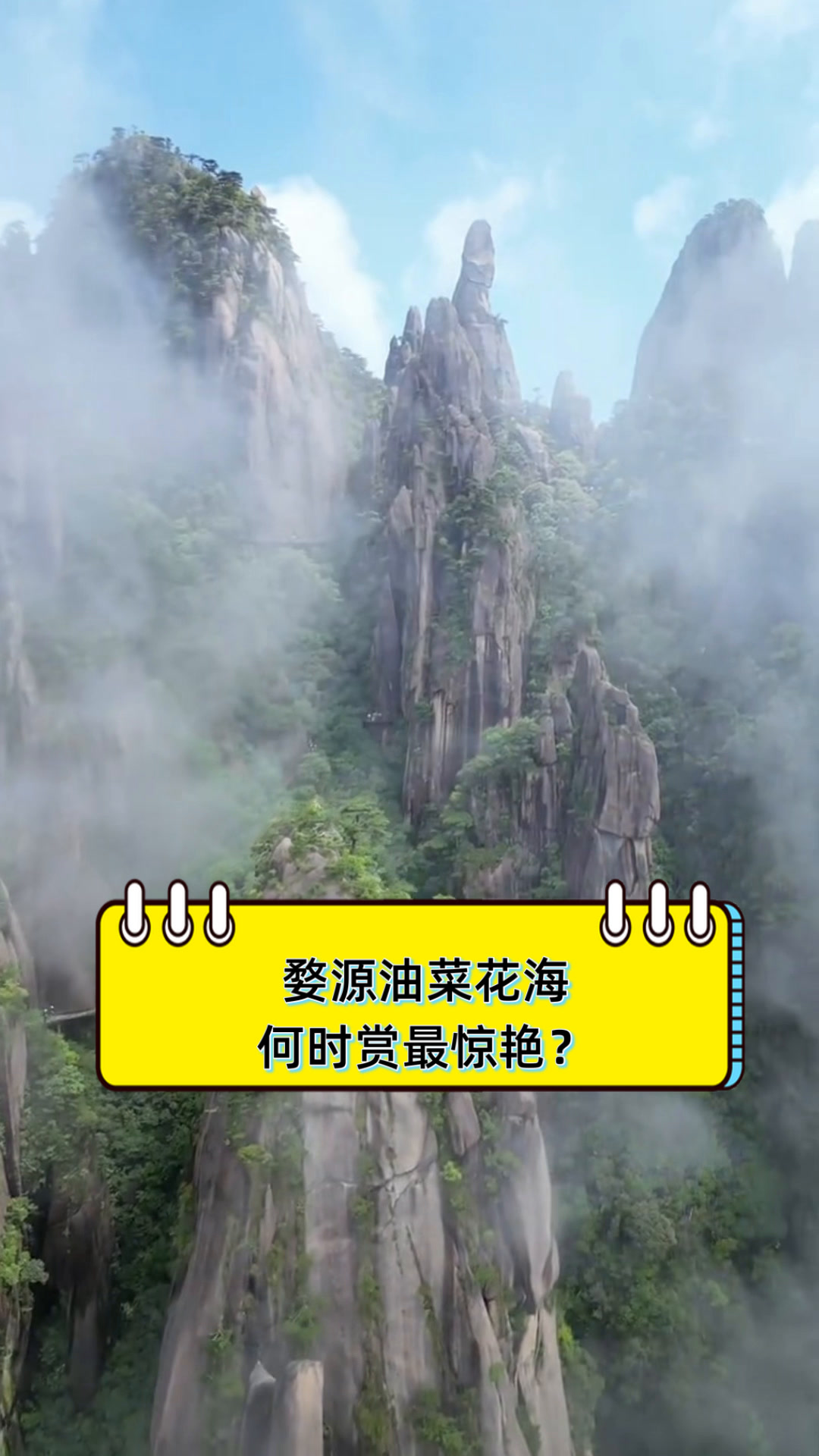 婺源油菜花海,何时赏最惊艳?