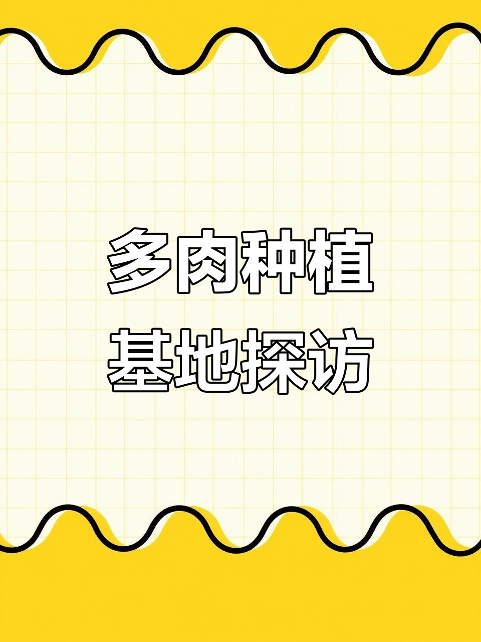 山东多肉种植基地大揭秘,植物娘纸面包来啦!