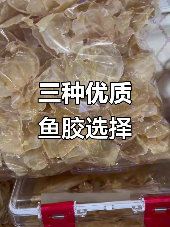 家庭日常必备鱼胶推荐,三种最受欢迎的选择