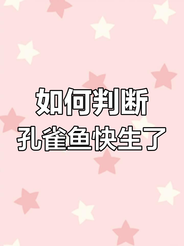 胎生鱼繁殖信号,如何判断孔雀鱼即将生产