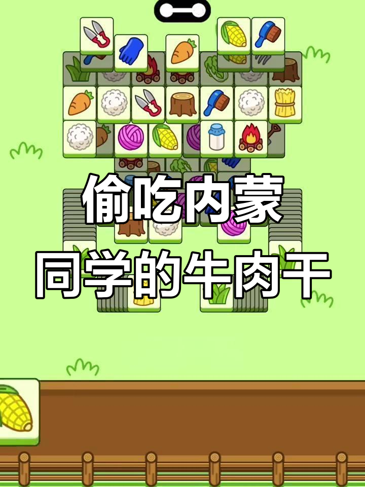 内蒙古同学的海螺与牛肉干大交换,竟然是这样!