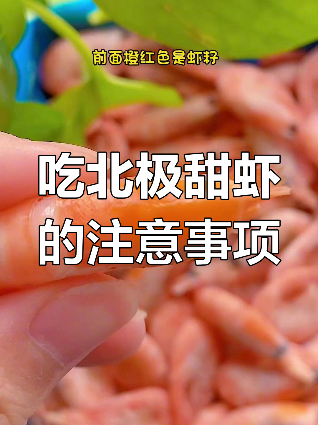 北极甜虾的正确吃法,哪些部位不能吃?