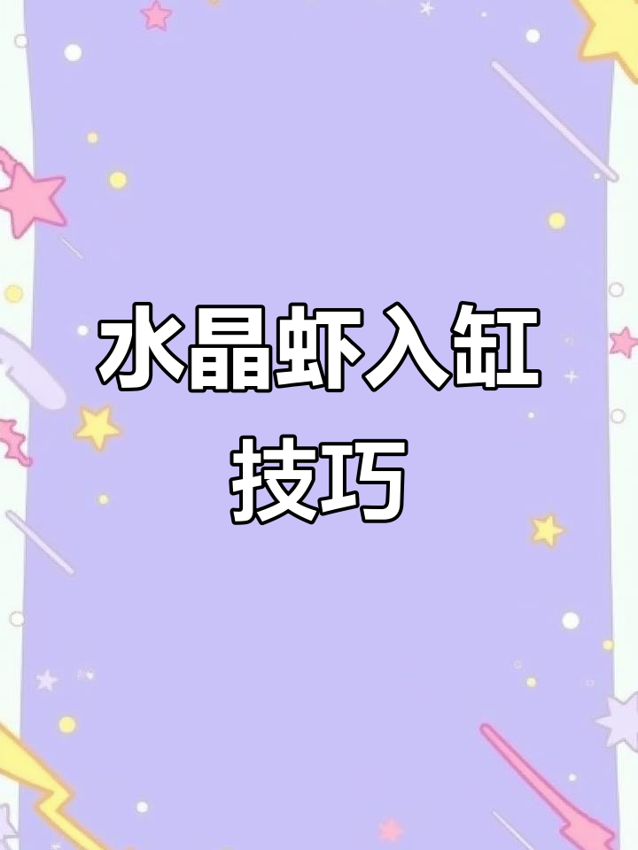 水晶虾入缸全攻略:零阵亡秘诀大公开