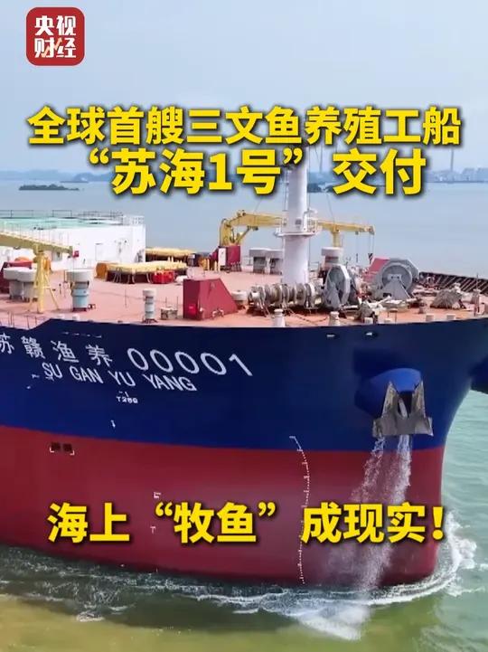 海上“牧鱼”成现实!