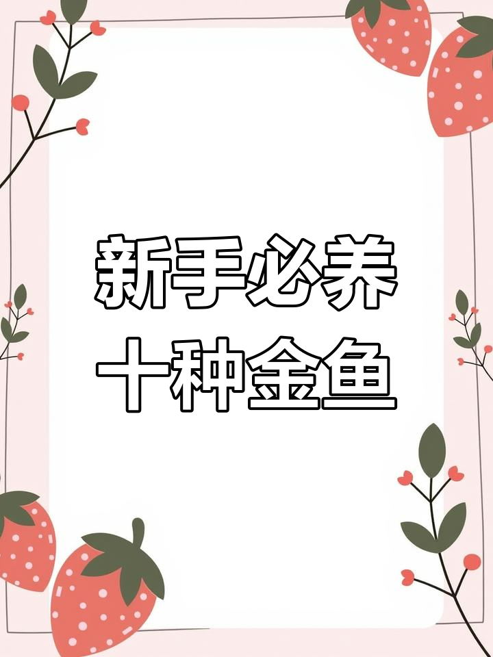十大最适合新手养的金鱼品种,轻松上手!
