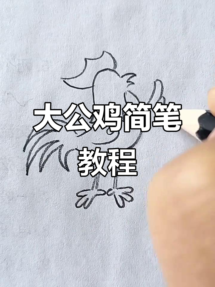大公鸡简笔画,轻松上手,适合各年龄段儿童!