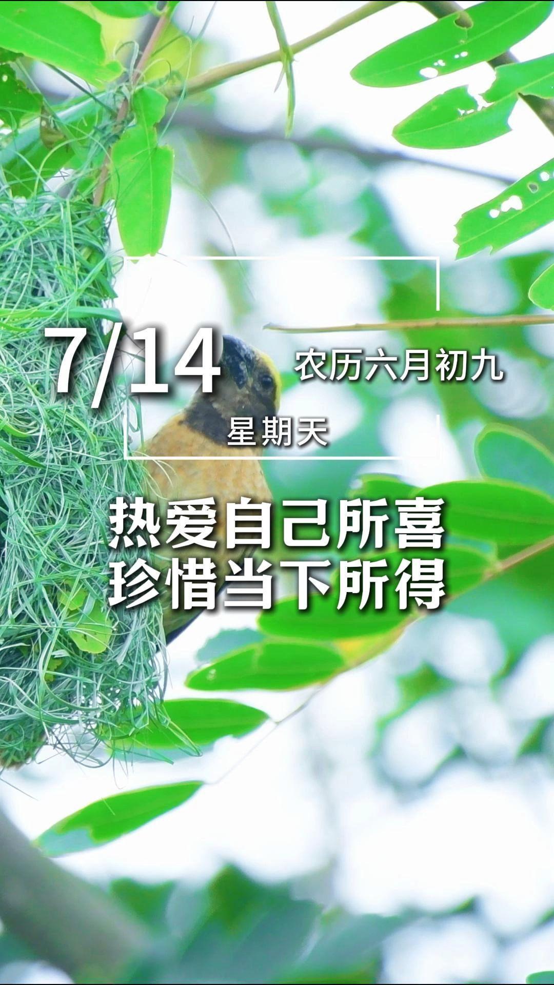 今天是7月14日,星期天,早安。人生最好的状态是,热爱自己所喜,珍惜当下所得,用心追逐梦想