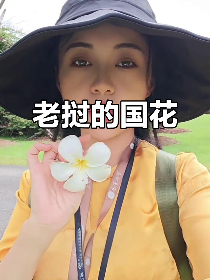 鸡蛋花,热带观赏植物,老挝国花的象征