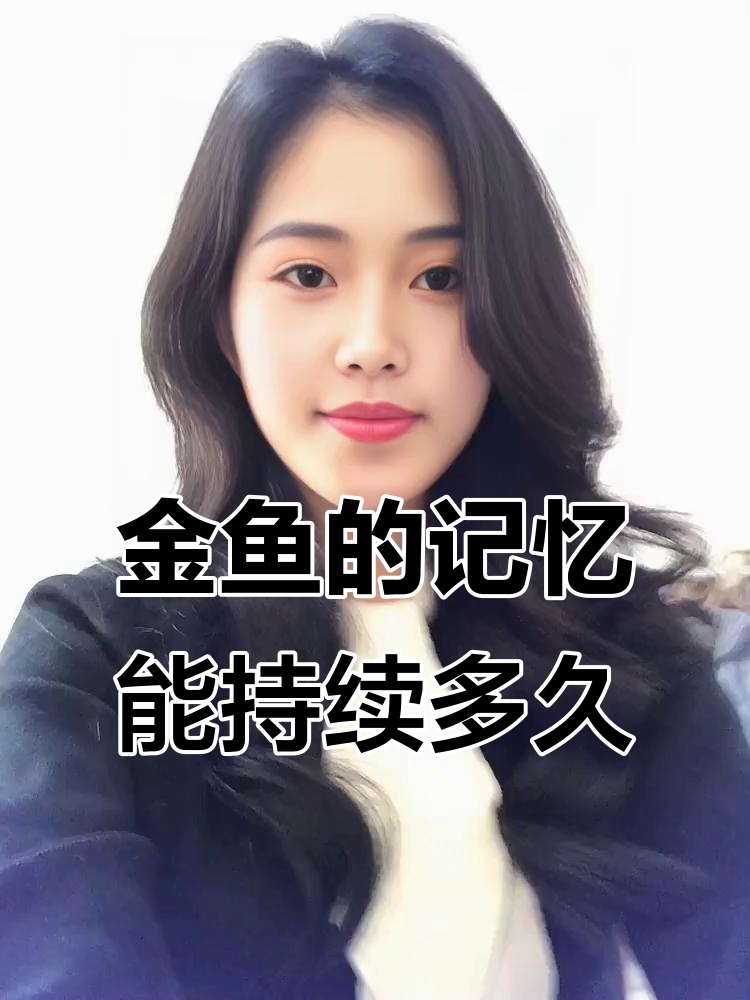 鱼的记忆并非只有七秒，实验揭秘真相