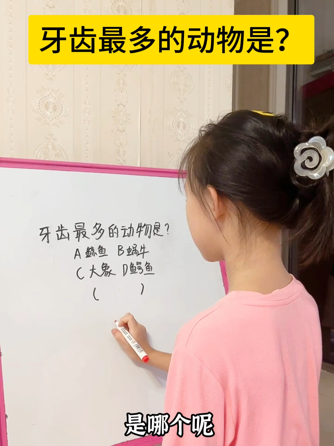 牙齿最多的动物是什么呢?有多少颗呢?