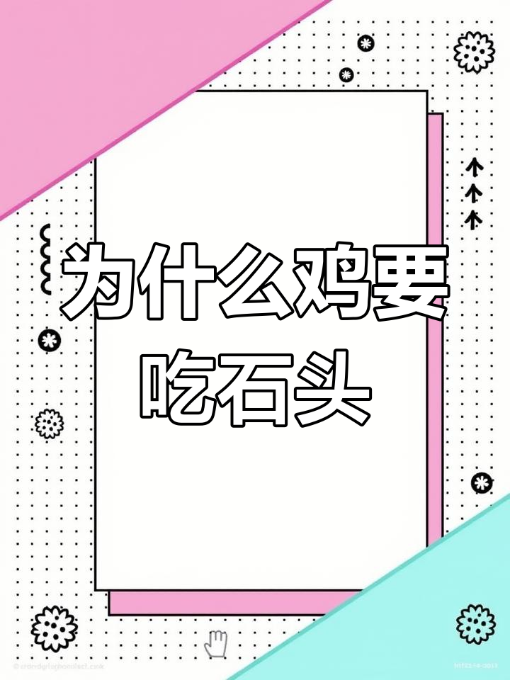 鸡吃沙石的原因揭秘