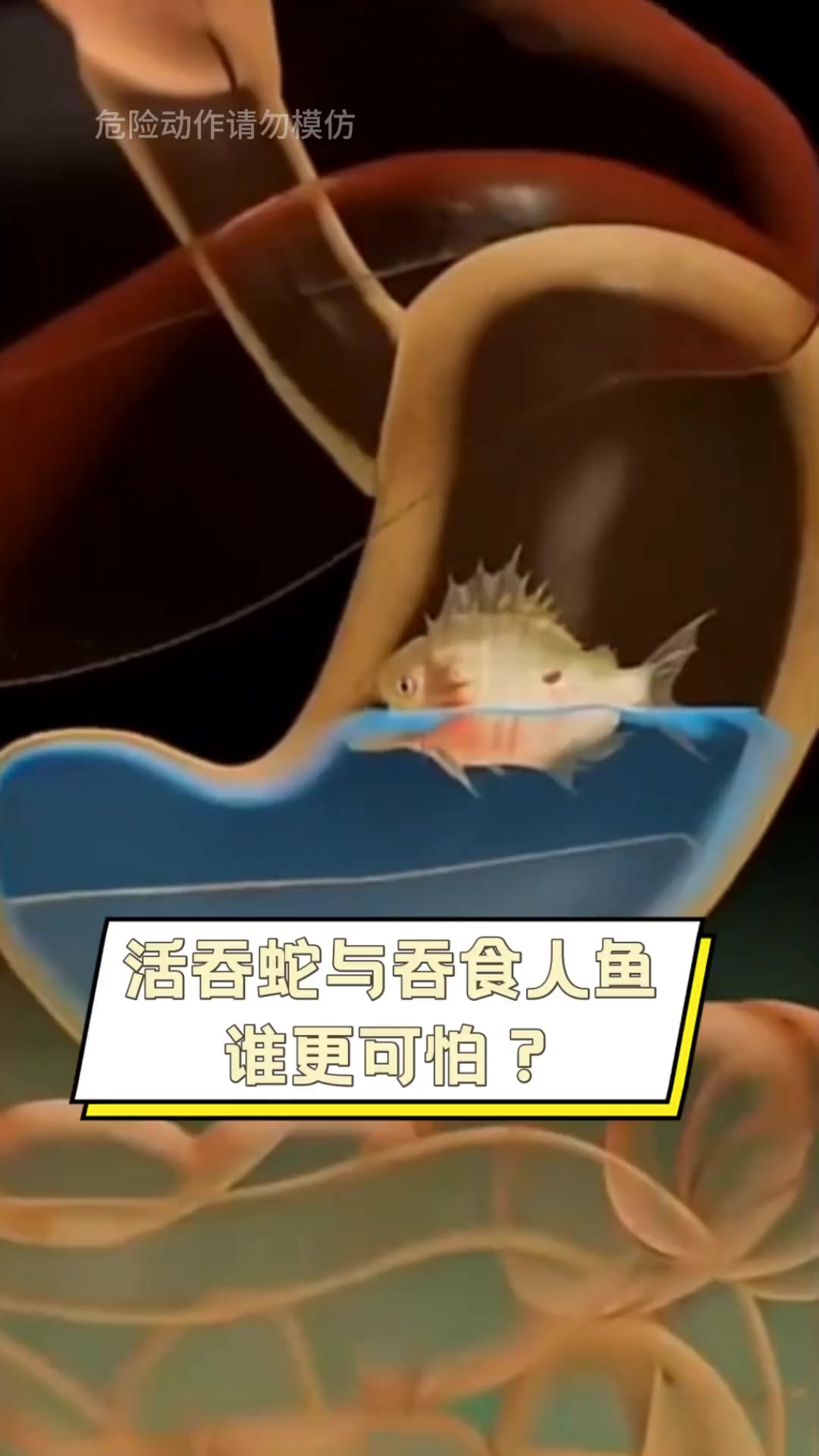 活吞蛇与吞食人鱼,谁更可怕?