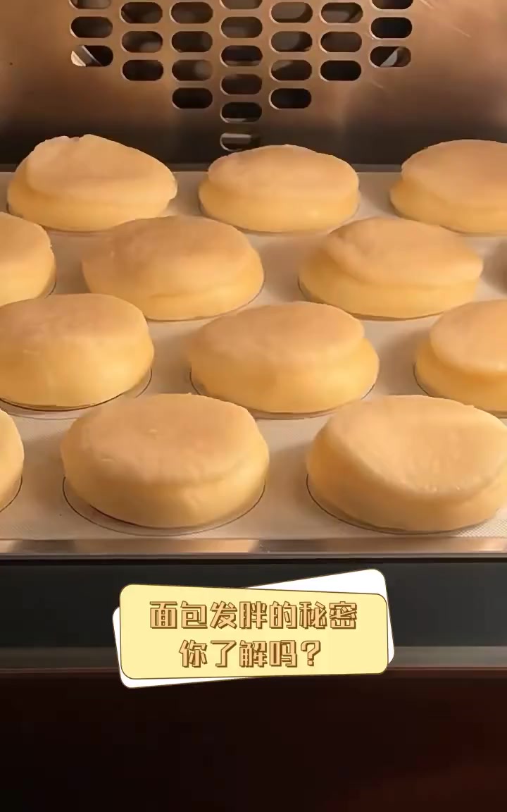 面包发胖的秘密,你了解吗?