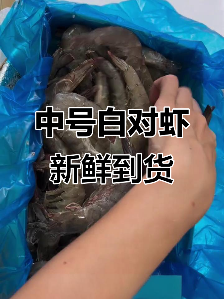 东方甄选国产白对虾，中号个头大又完整