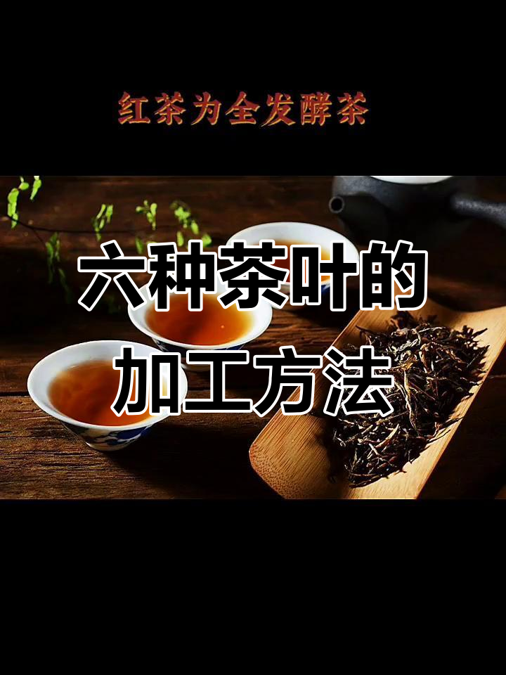 六大茶类工艺揭秘:从绿茶到乌龙,你了解吗?
