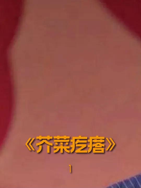 芥菜种类丰富,芥菜籽可以榨油,广东人吃的芥菜是水东菜,味道鲜美可口!