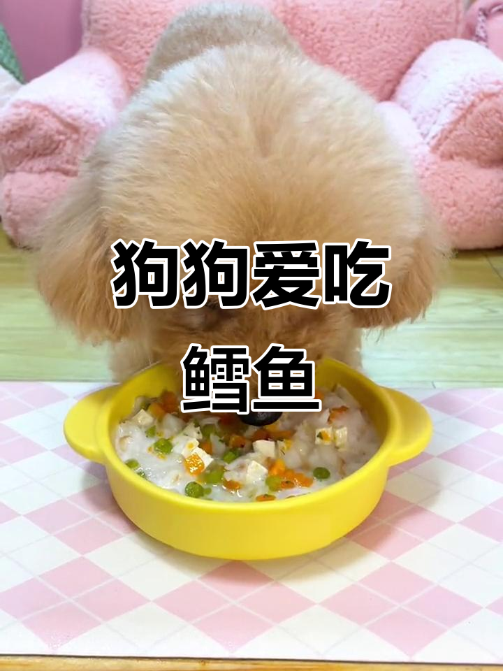 鳕鱼低脂高蛋白,狗狗常吃更健康