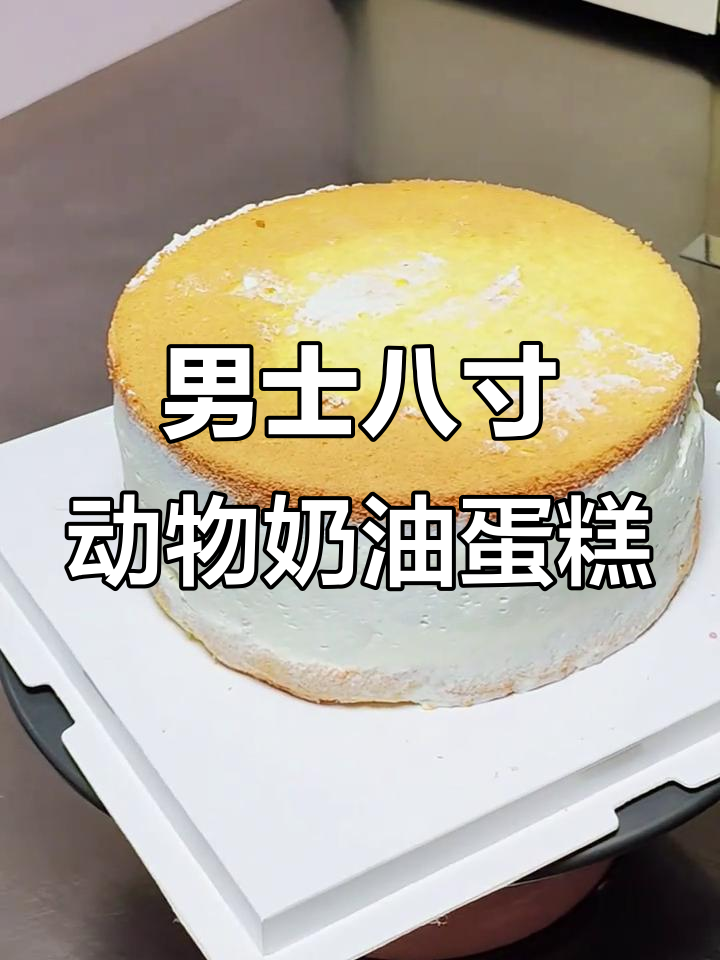 简约八寸动物奶油蛋糕,男士最爱!