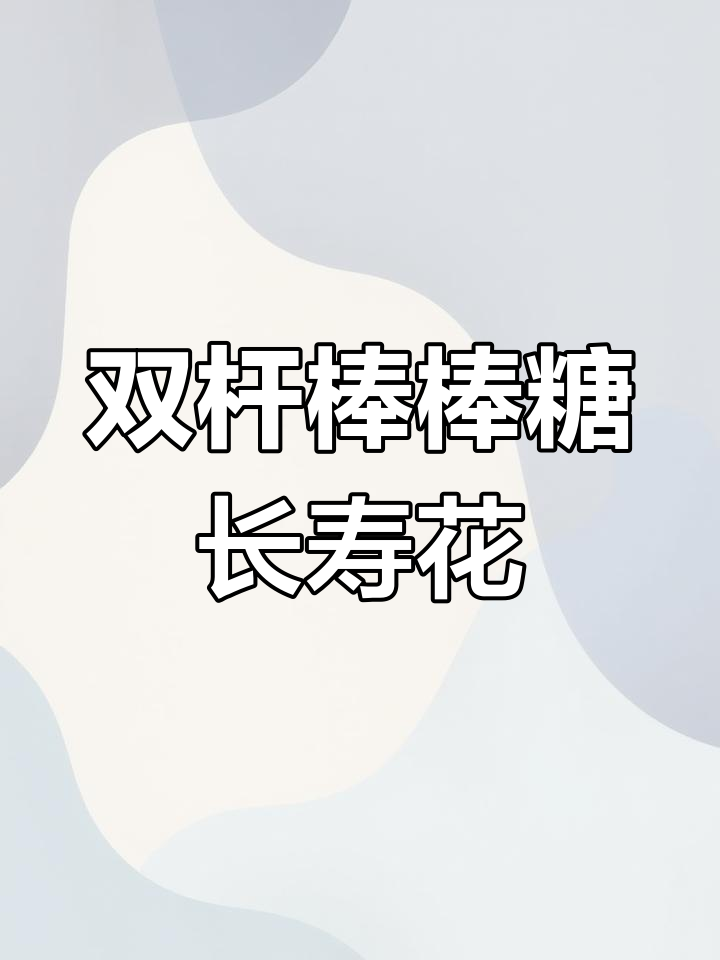 立春种双杆长寿花,打造独特盆景造型