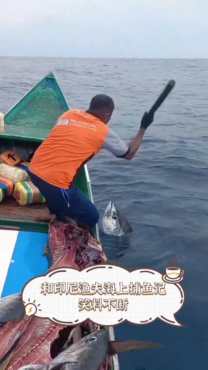 和印尼渔夫海上捕鱼记,笑料不断