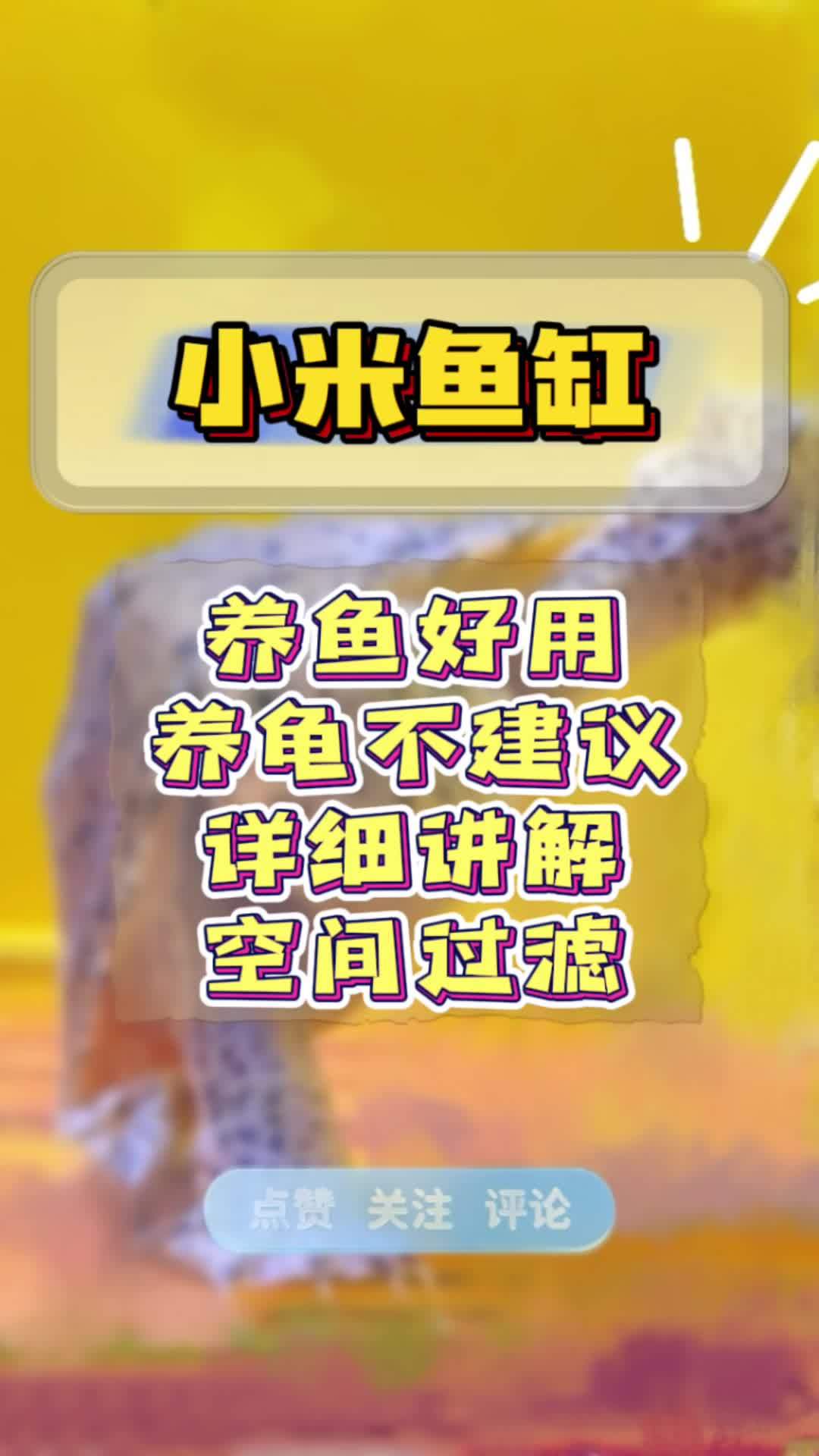 小米鱼缸能不能养龟?来吧,今天给你们讲解 展示一下,你们自己看看适不适合!不过用来养一些小
