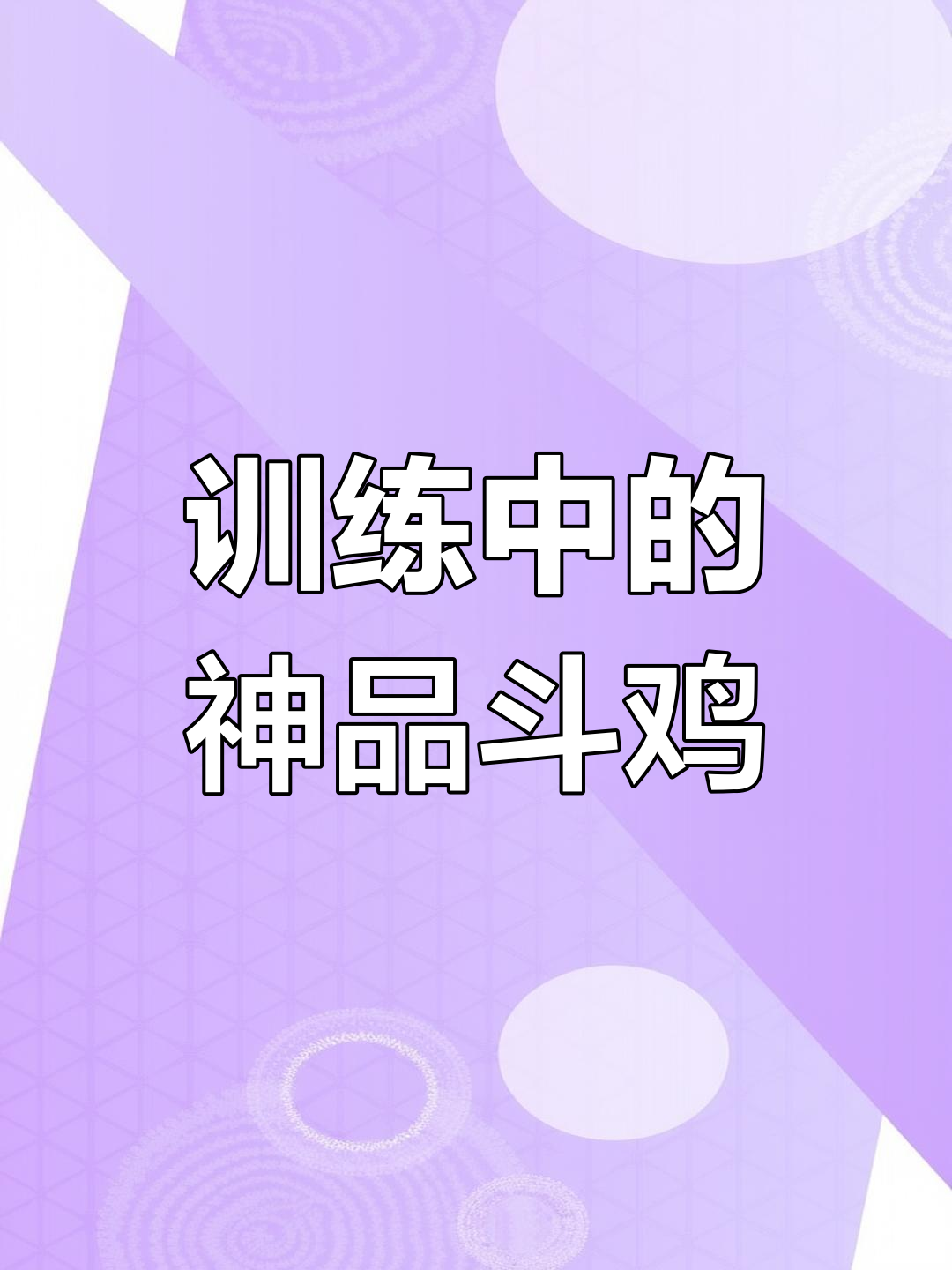 菜鸡逆袭成表情包,疯狂斗鸡场见证奇迹