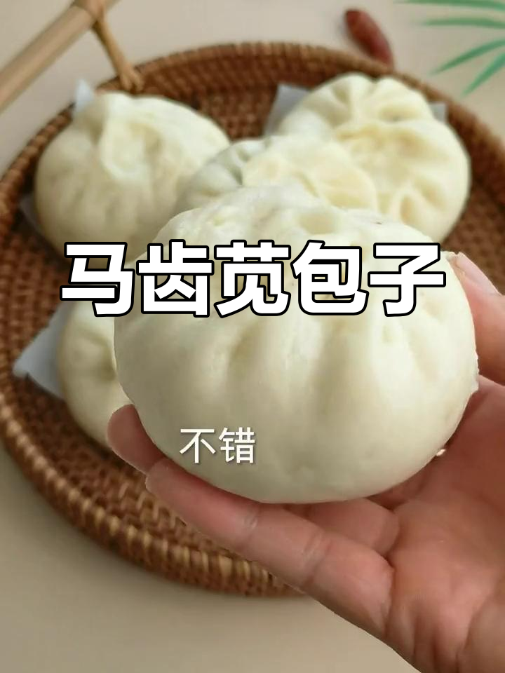 马齿苋菜干包子做法