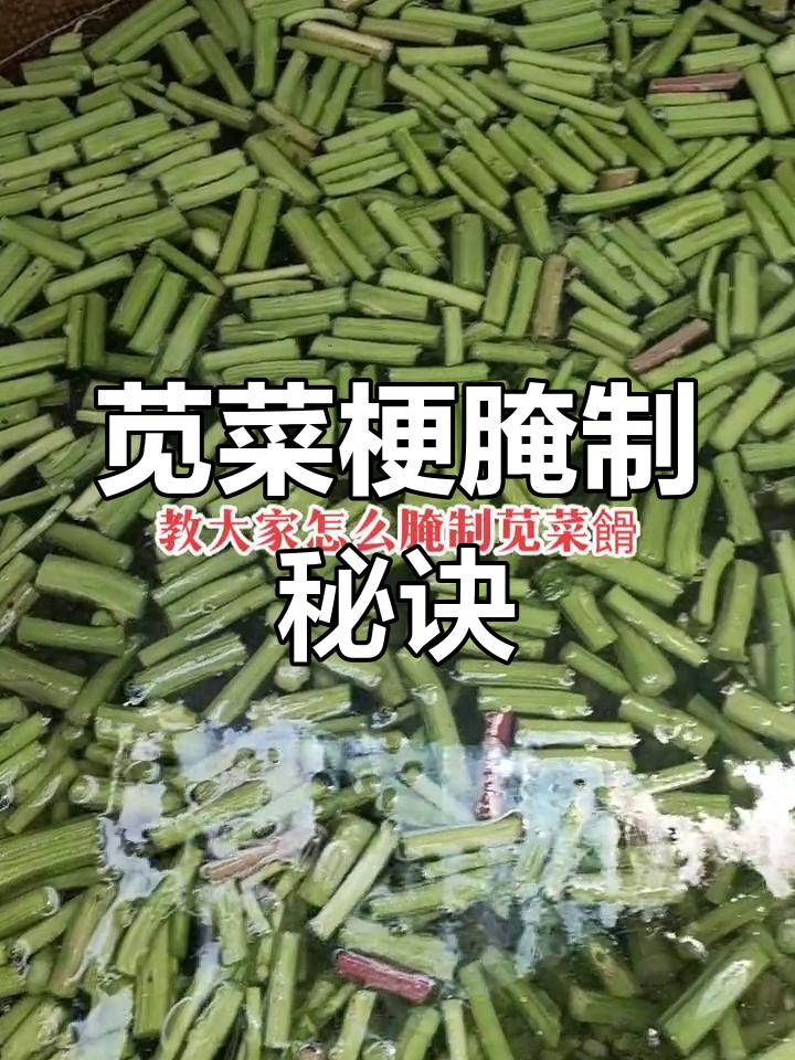 苋菜梗腌制法:泡、晒、盐腌,20天发酵后味道绝佳!