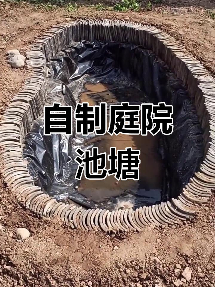 亲手打造庭院池塘,DIY鱼塘改造全纪录