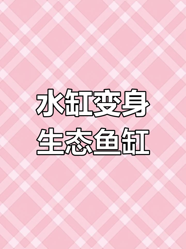 废弃水缸变瀑布鱼缸,废物利用创意满满!