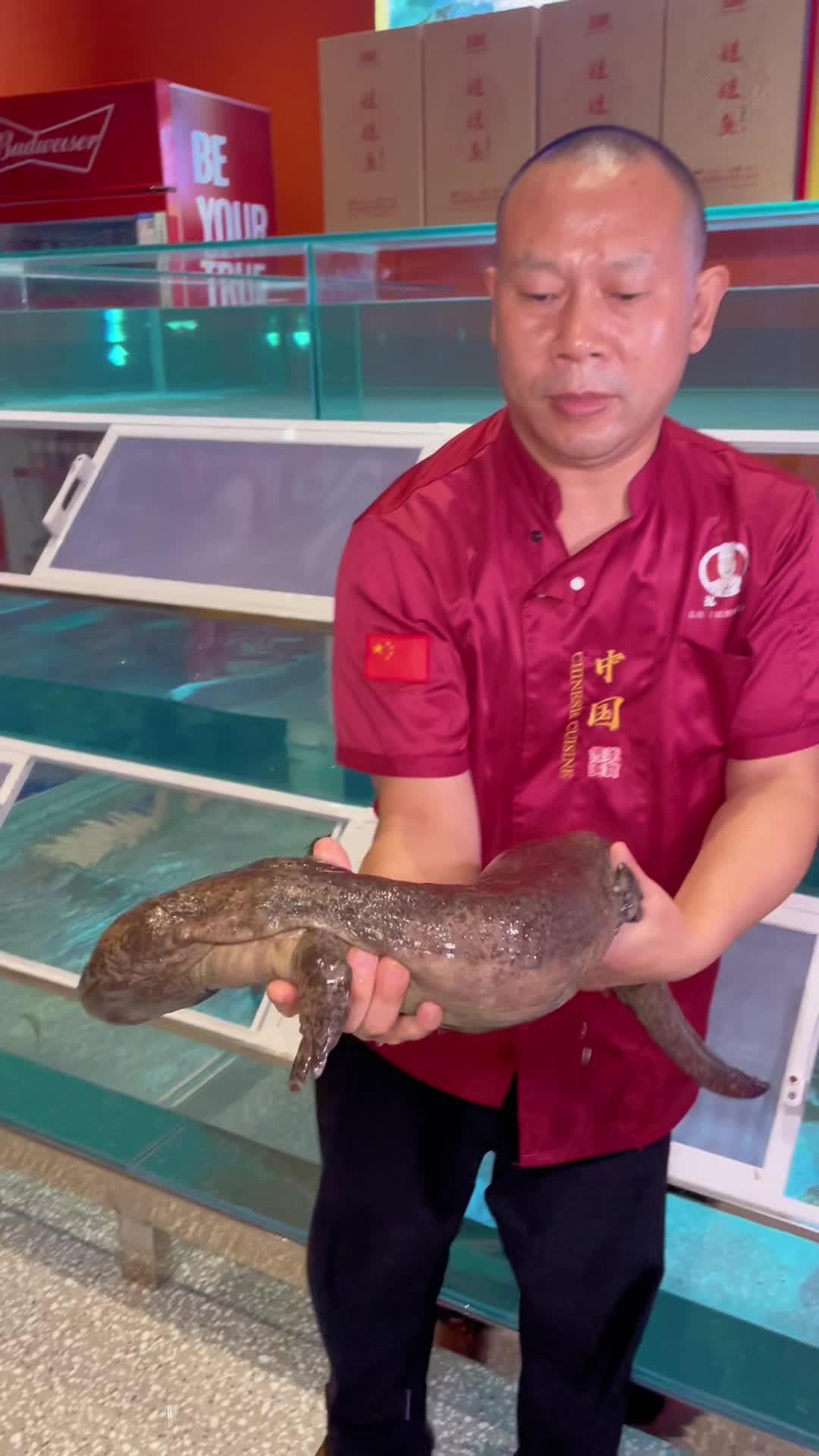 这条大鱼太香了,人工养殖的!中秋国庆逛吃指南 优惠活动火爆进行中 全鱼宴 中秋团圆季 弘鲵