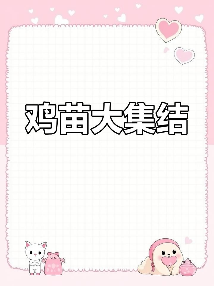广州鸡苗种类丰富,价格实惠,养殖必备良品!