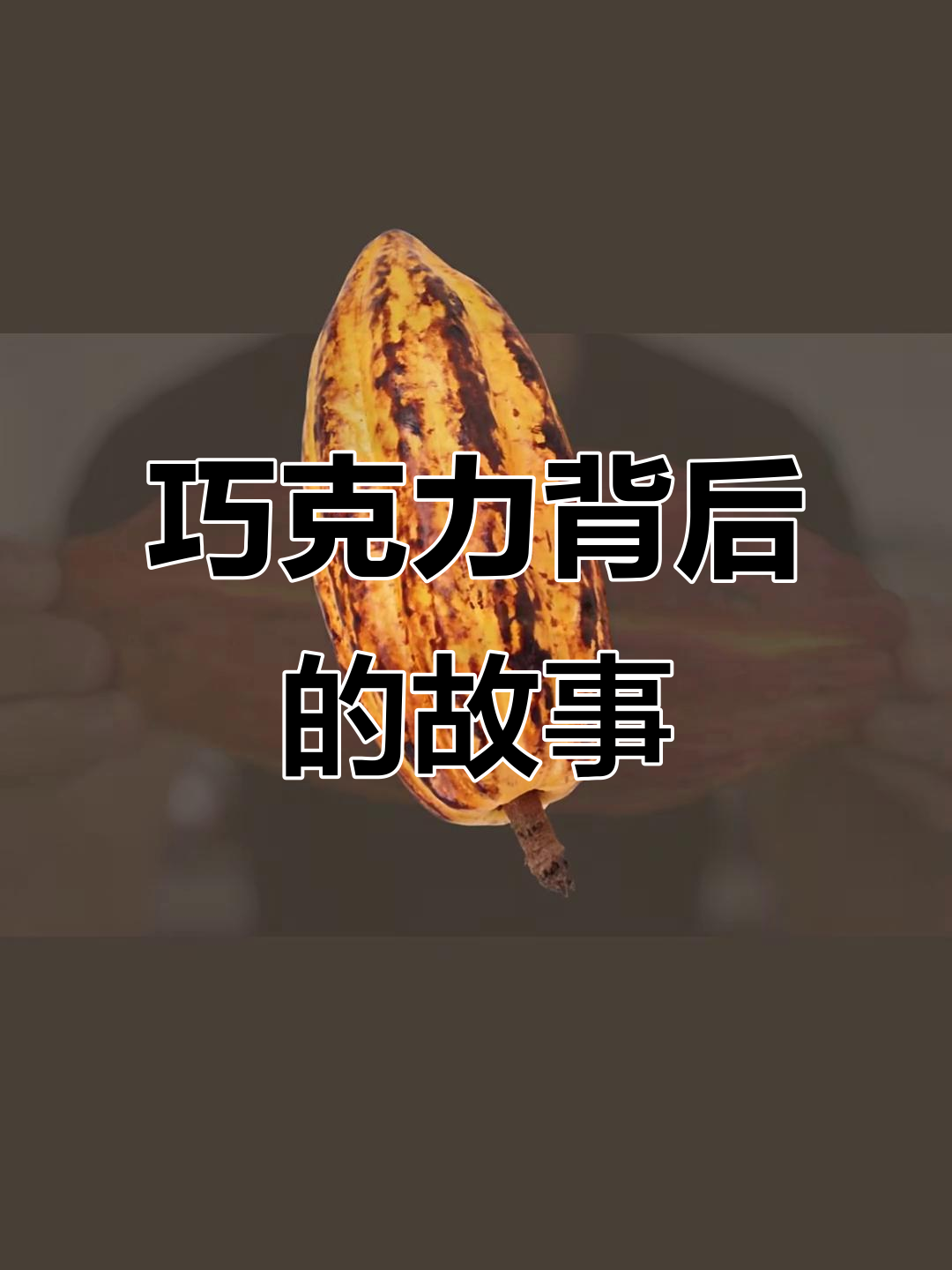 可可豆如何变成巧克力的?揭秘制作过程与原料来源