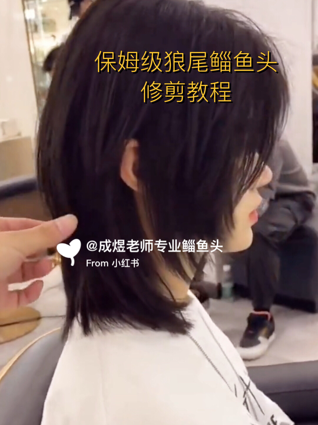 全网最详细的狼尾鲻鱼头修剪教程拿给托尼看