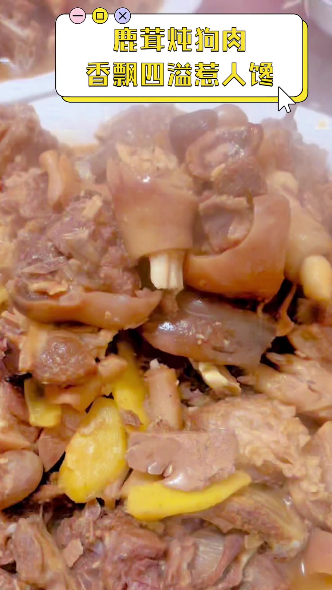 鹿茸炖狗肉,香飘四溢惹人馋