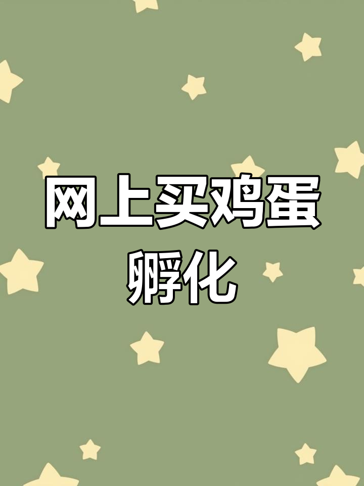 网购受精蛋和孵化箱,70元搞定孵小鸡