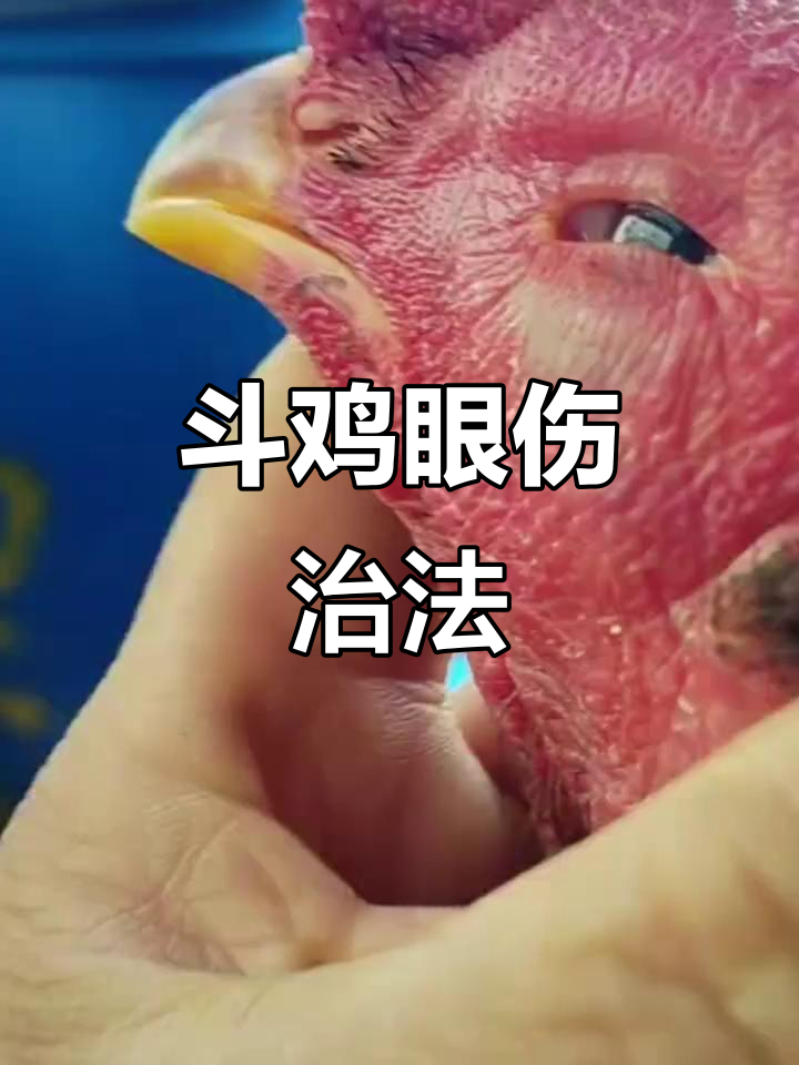 斗鸡眼受伤,如何治疗?