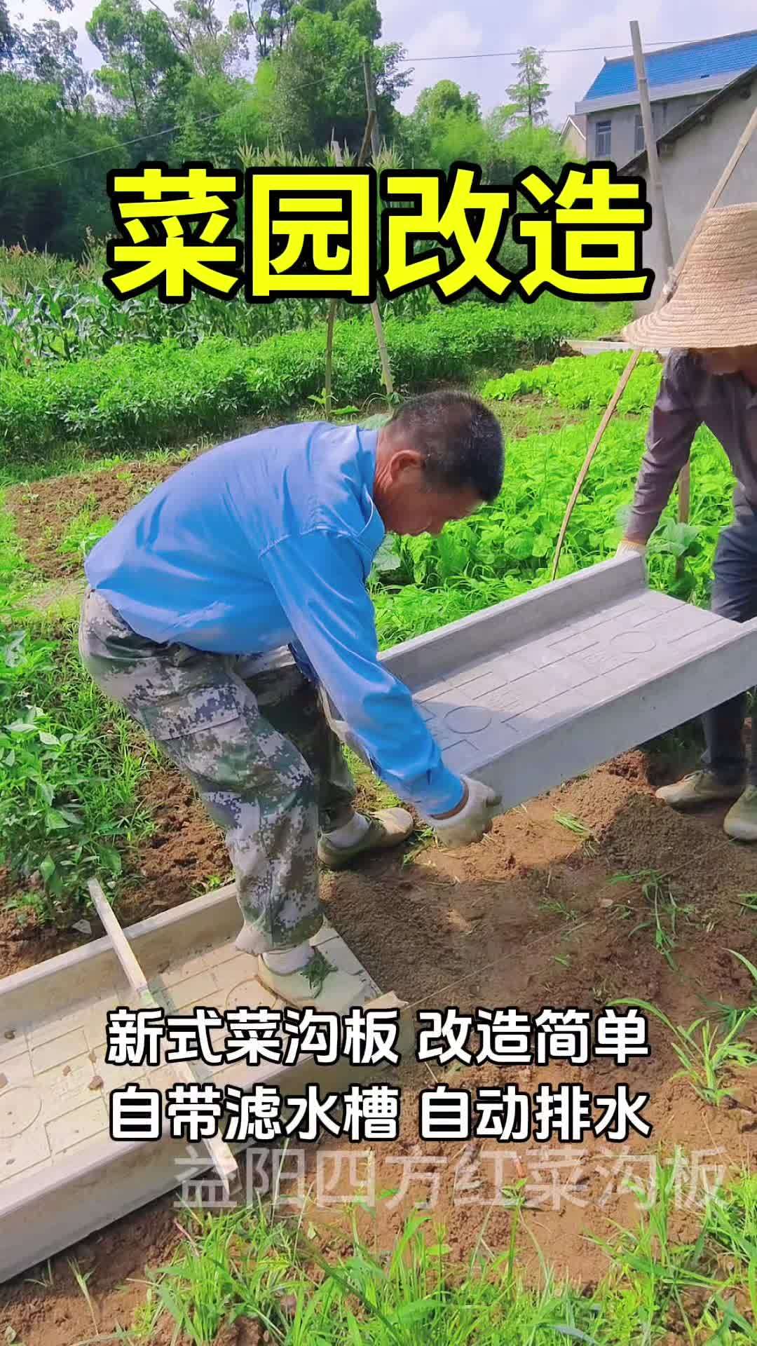 小院改造 菜沟板 我的小菜园 农村菜园设计 自家小菜园设计