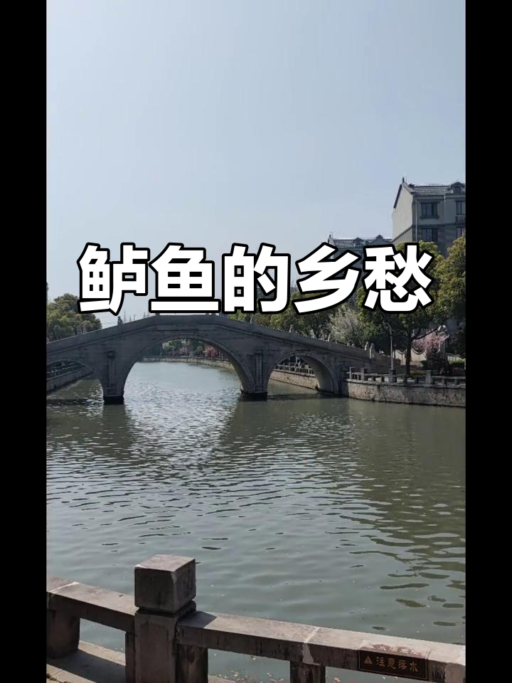 四腮鲈鱼,象征故乡情深,历史见证其传奇