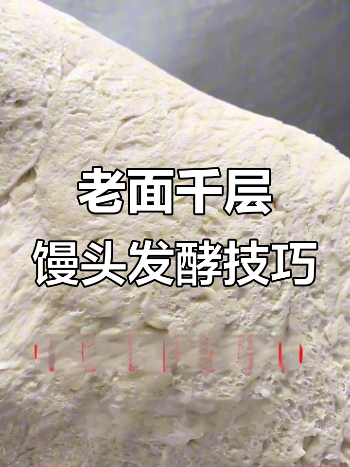 河南老面千层馒头制作秘籍,循环法让层次更丰富